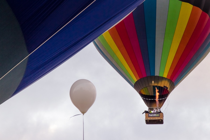 Шоу воздушных шаров в Гамильтоне (много фото) — Здесь в…