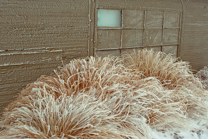 Замёрзшая трава у стены